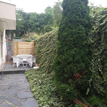 Apartamento Con Pequeno Jardin En El Centro Ferrol Exterior foto